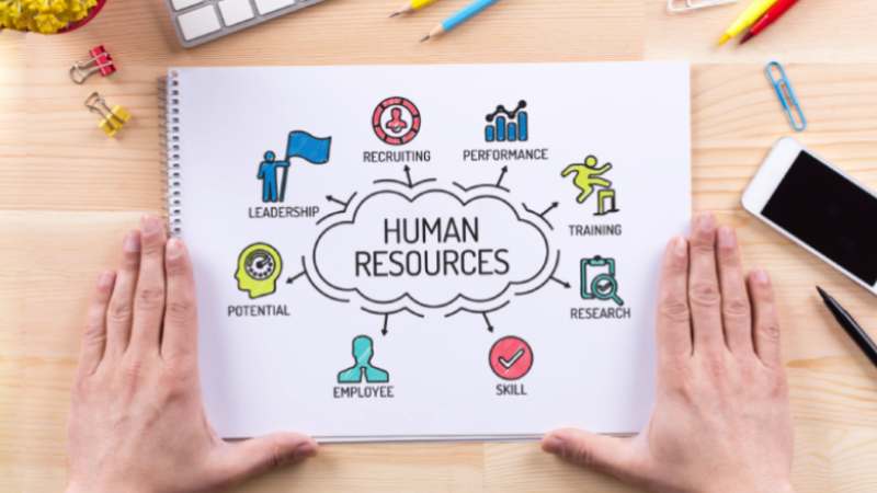 人的資源管理の事例とは？ 有効な取り組み方、企業事例、タレントマネジメントとの関連までを解説